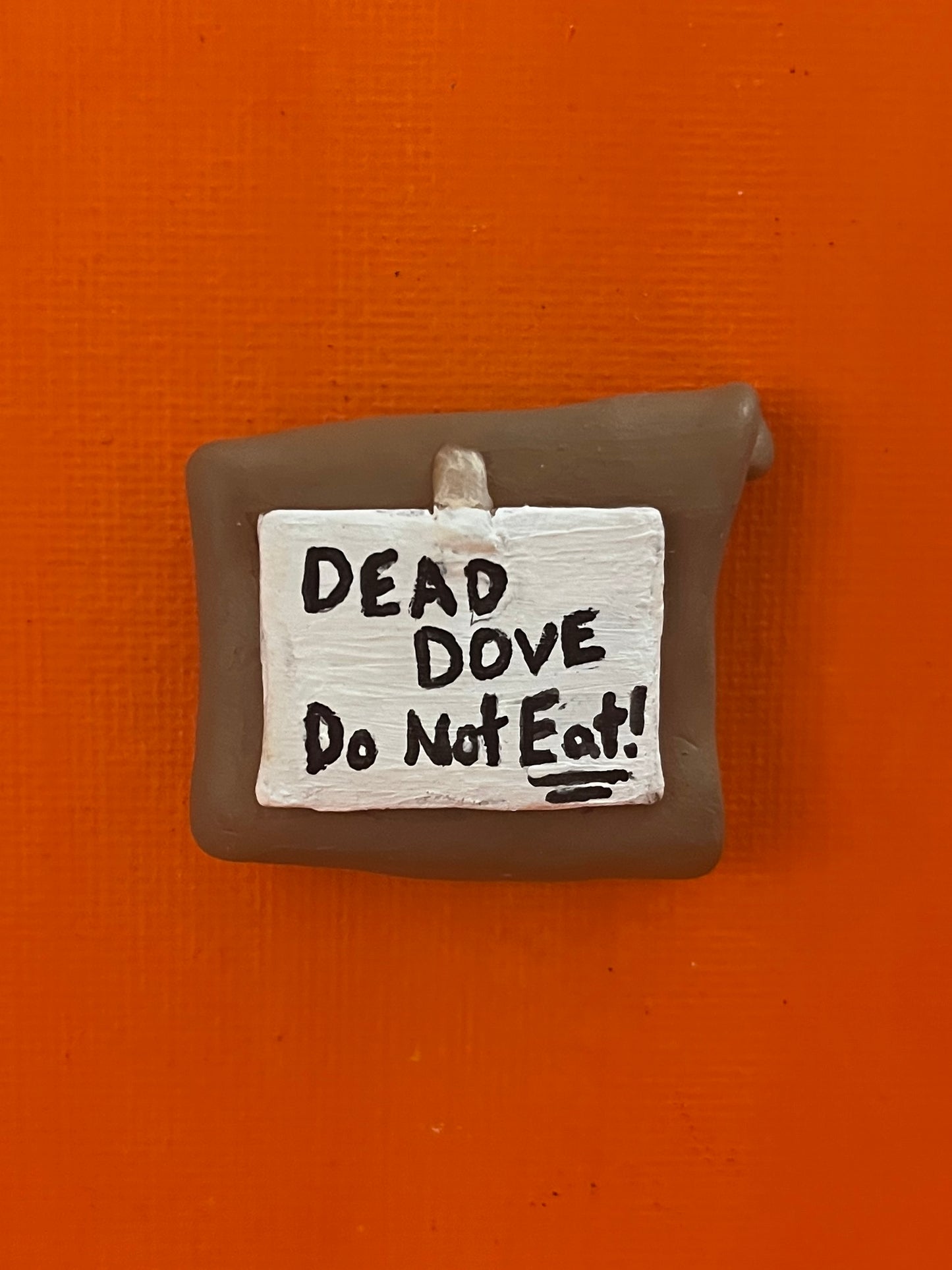 Dead Dove Do Not Eat!